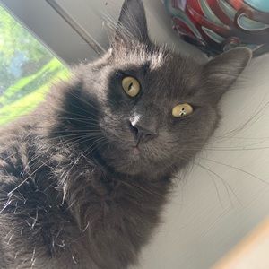 Meet your Posher, Quinn